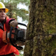 Sarah Palin's Alaska (Photo: TLC)